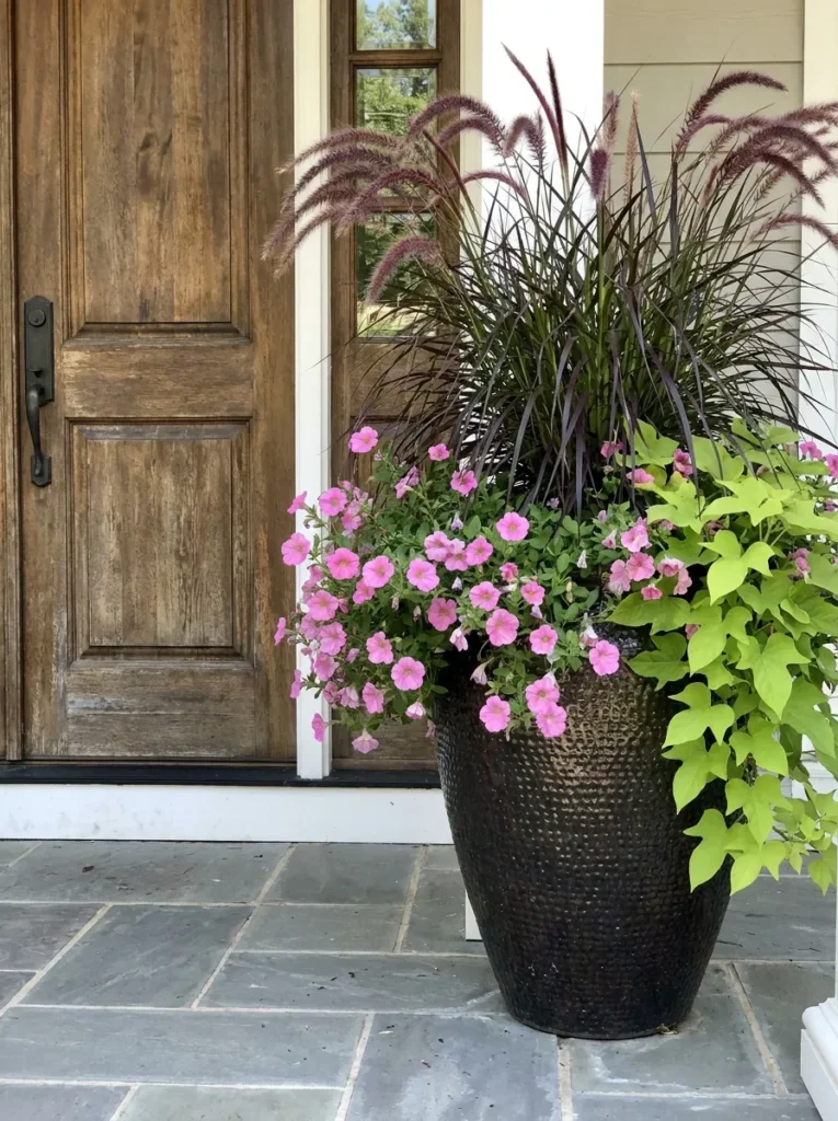 Professional summer porch planter with thriller, filler, and spiller plants.