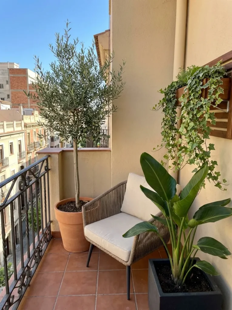 Tall olive tree, medium plant, and trailing ivy – the tall-medium-trailing plant system